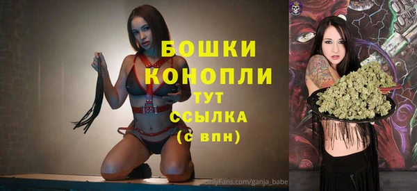 apvp Горняк