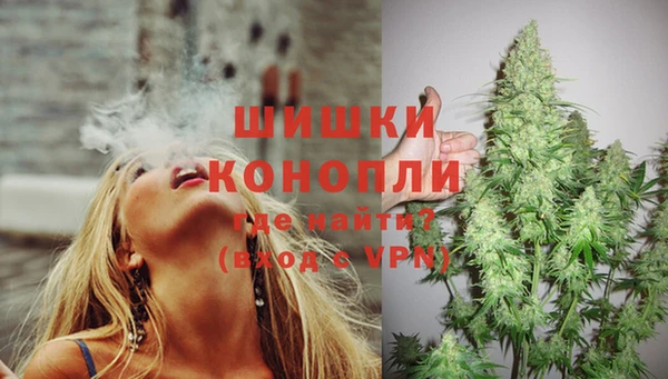 тгк Горнозаводск