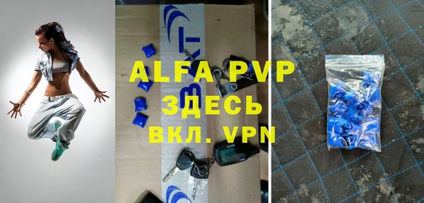 apvp Горняк