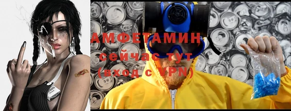 apvp Горняк
