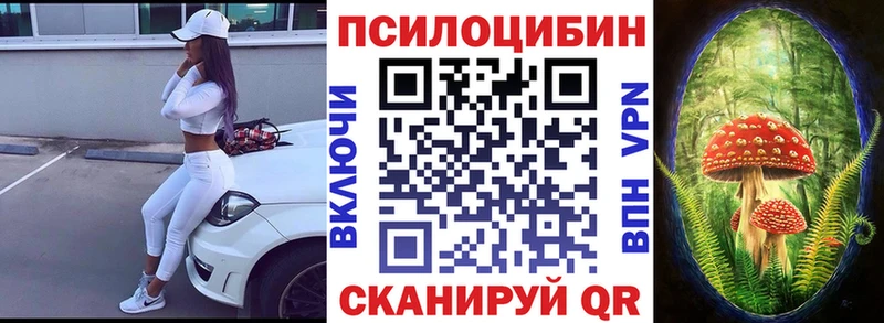 Купить  Ленинградская  Псилоцибиновые грибы Psilocybe 