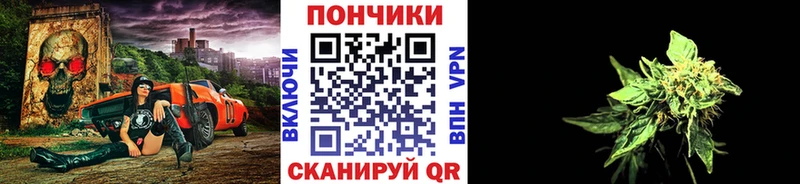 Бошки марихуана марихуана Ленинградская